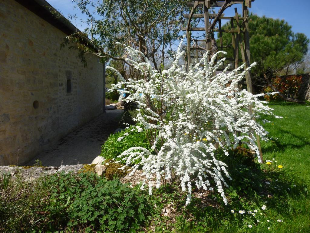 Bed and Breakfast Au Mas de Gamet Théminettes Exterior foto